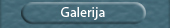 Galerija